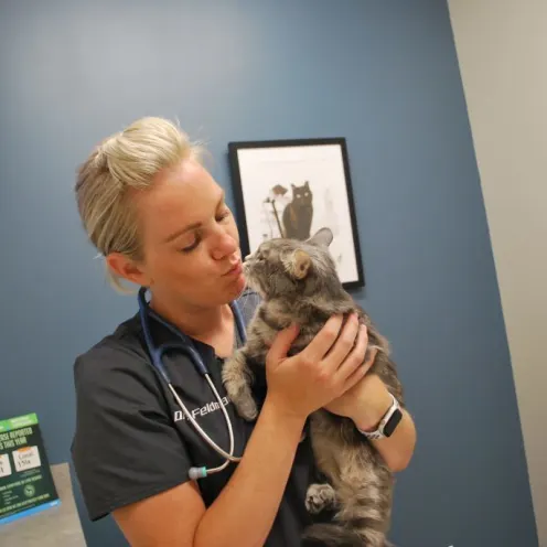 Foxmoor Veterinary Clinic Vet kissing gray cat 